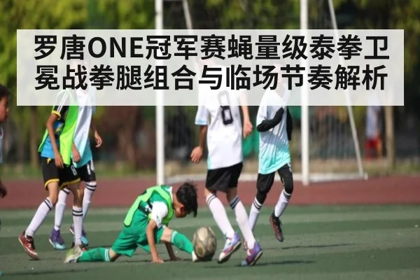罗唐ONE冠军赛蝇量级泰拳卫冕战拳腿组合与临场节奏解析 | Wending